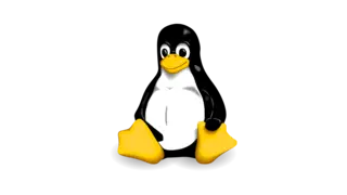 VPS Management: Linux & Nginx